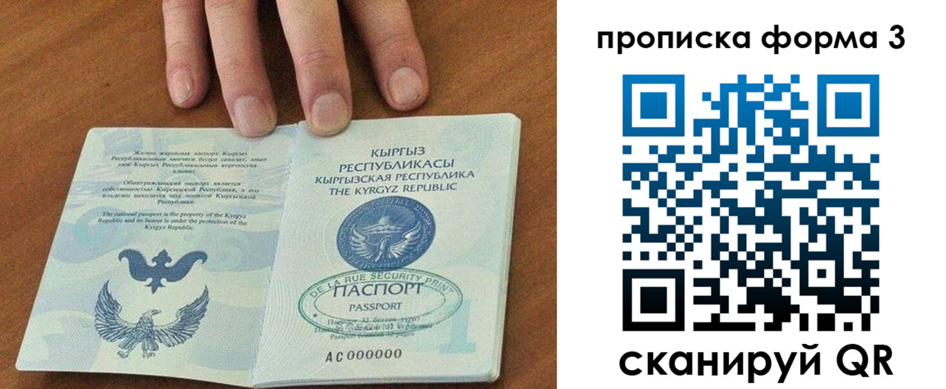 прописка 2025 в Струнино